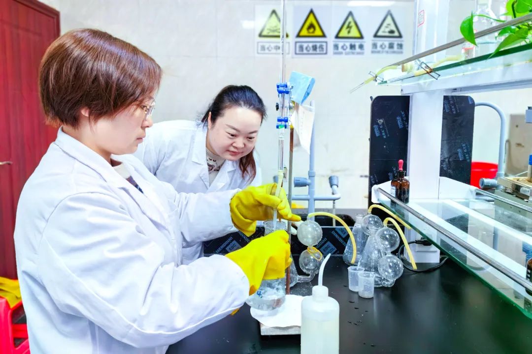 【宜化榜樣】股份公司黃冬燕：立足分析崗位，爭當技術能手(圖5)