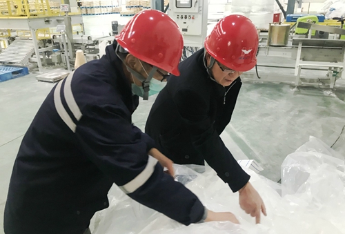 王大真到新材料公司、TPO項目現(xiàn)場和股份公司檢查工作